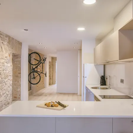 Apartment Flateli Exclusivos Placa Catalunya Girona